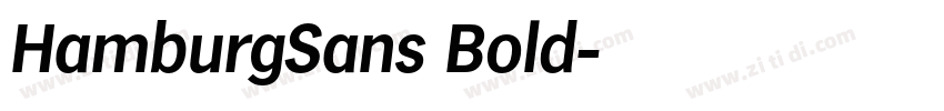 HamburgSans Bold字体转换